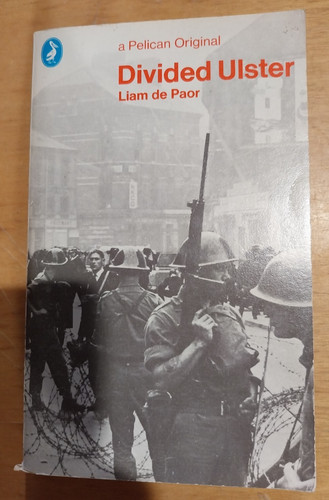 Libro romanzo davided ulster - libro,